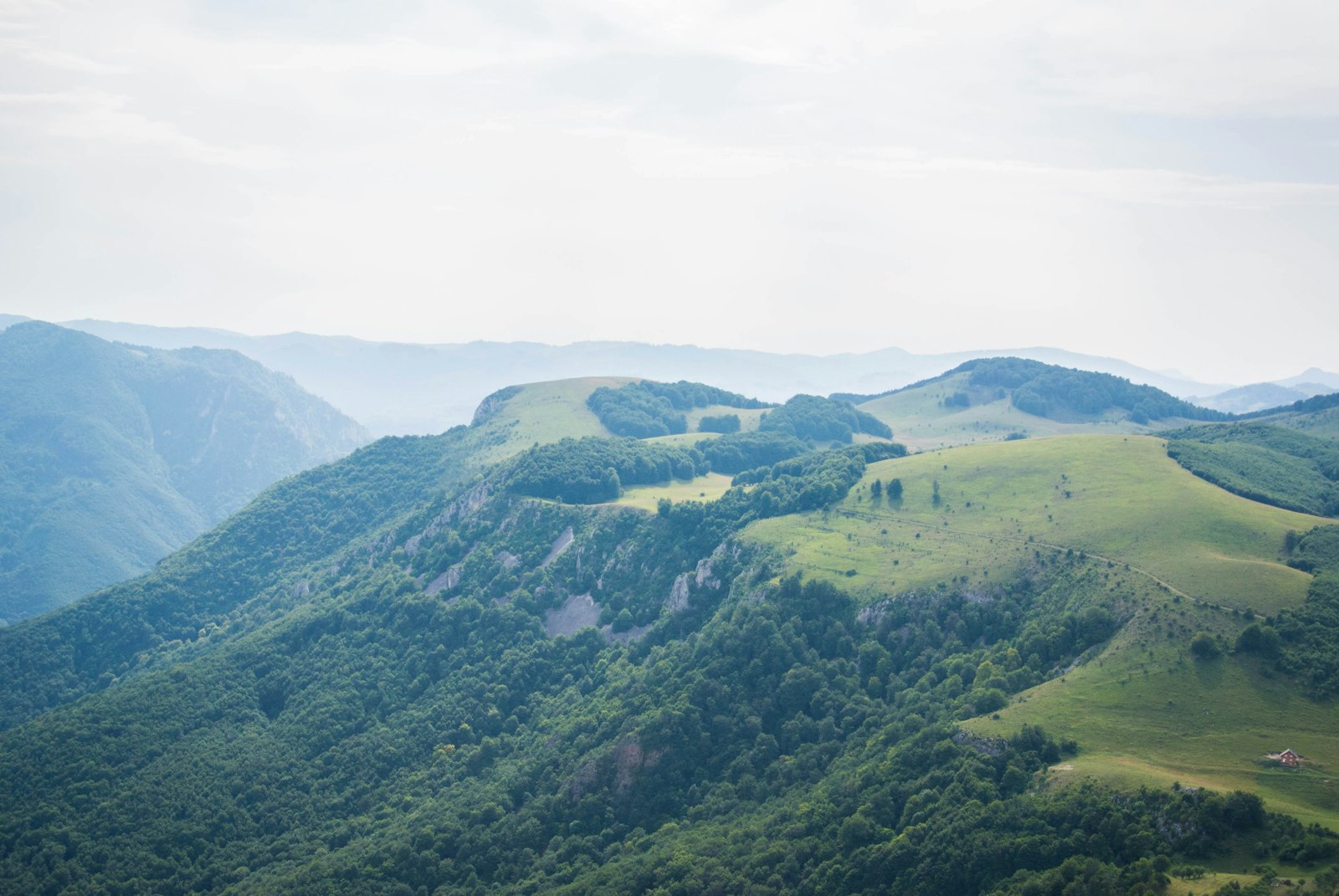 Dealuri verzi în ceață, peisaj românesc